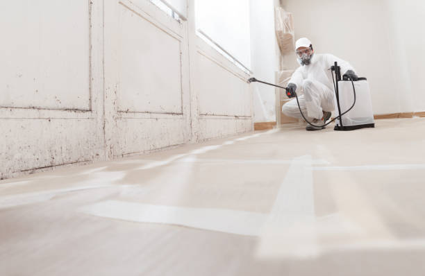 24/7 Emergency Mold Testing experts in Winterville, NC