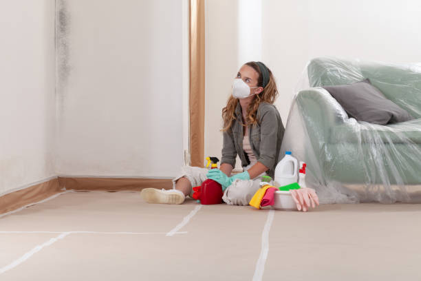 Reliable Mold Testing contractor in Winterville, NC by WQB Mold Removal