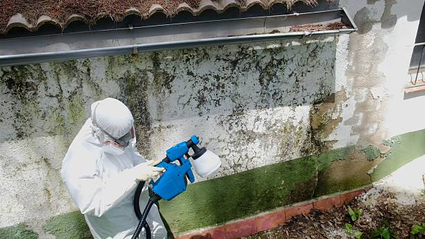 Top rated local Mold Testing specialists in Winterville, NC